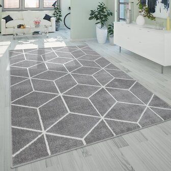 Vloerkleed of karpet PALMER kleur grijs 402