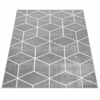 Vloerkleed of karpet PALMER kleur grijs 402