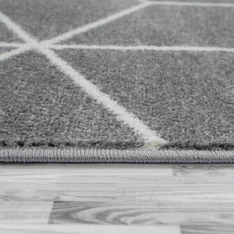 Vloerkleed of karpet PALMER kleur grijs 402