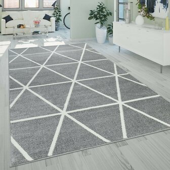 Vloerkleed of karpet PALMER kleur grijs 401