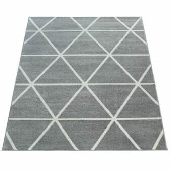 Vloerkleed of karpet PALMER kleur grijs 401