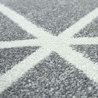 Vloerkleed of karpet PALMER kleur grijs 401