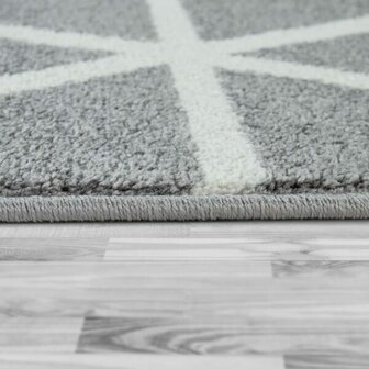 Vloerkleed of karpet PALMER kleur grijs 401
