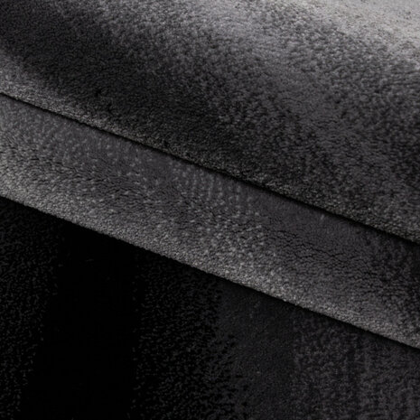 Modern vloerkleed Regent kleur zwart 6630