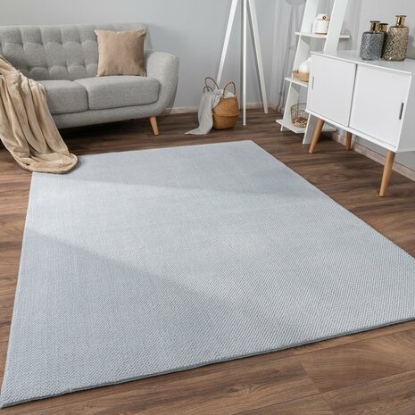 Effen grijs vloerkleed of karpet AMBIANCE 521