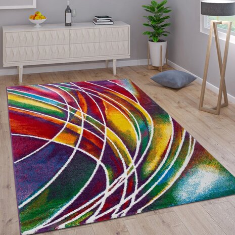 Multicolor vloerkleed BERLIJN 902