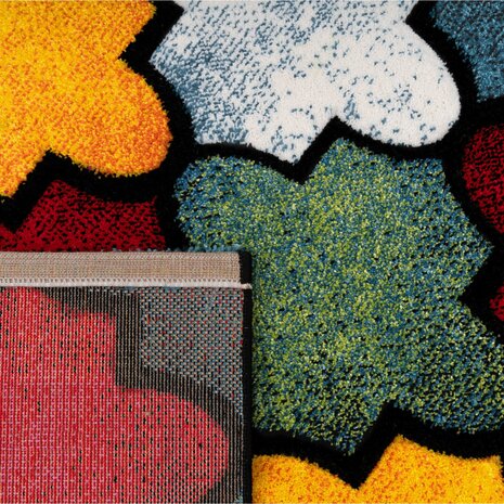 Multicolor vloerkleed PICASSO 765