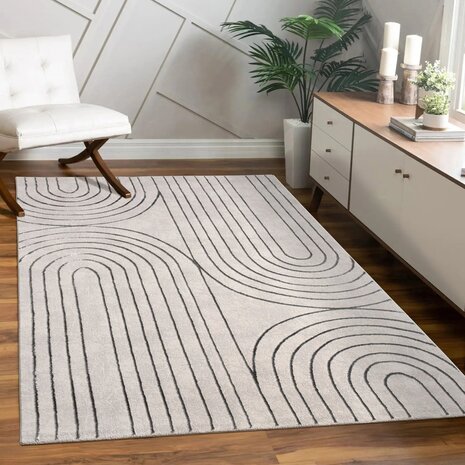 Modern karpet of vloerkleed BRUSSEL 215 kleur grijs