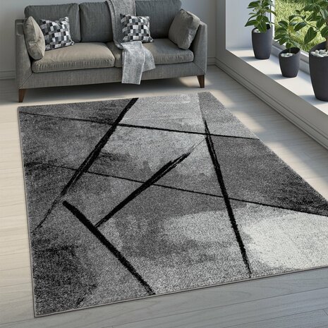Modern vloerkleed MARCO 113 kleur grijs