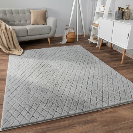 Hoogpolig soft vloerkleed ANDRES 742 kleur grijs