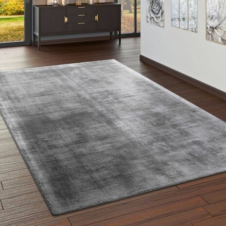 Viscose vloerkleed of karpet MERLIN kleur grijs 330