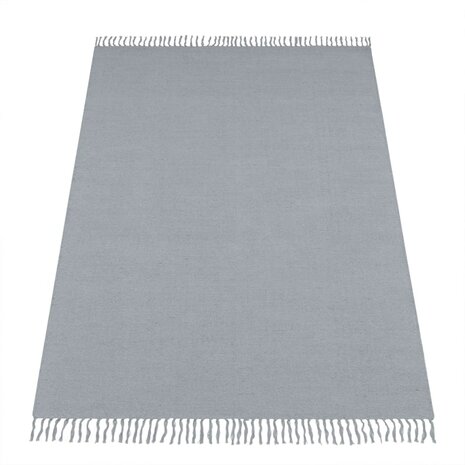 Vloerkleed of karpet PARMA kleur grijs 350