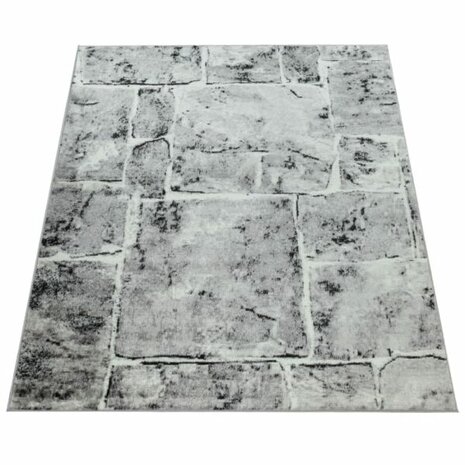 Modern vloerkleed of karpet ARIZONA  kleur grijs 050