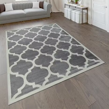 Modern vloerkleed of karpet ARIZONA  kleur grijs 066