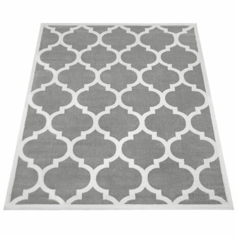 Modern vloerkleed of karpet ARIZONA  kleur grijs 066