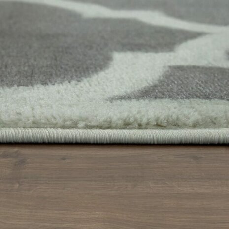 Modern vloerkleed of karpet ARIZONA  kleur grijs 066