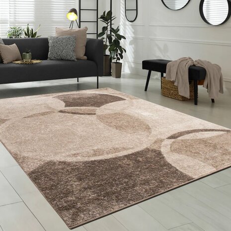 Modern vloerkleed of karpet ARIZONA  kleur bruin 054