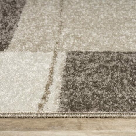 Modern vloerkleed of karpet ARIZONA  kleur bruin 054