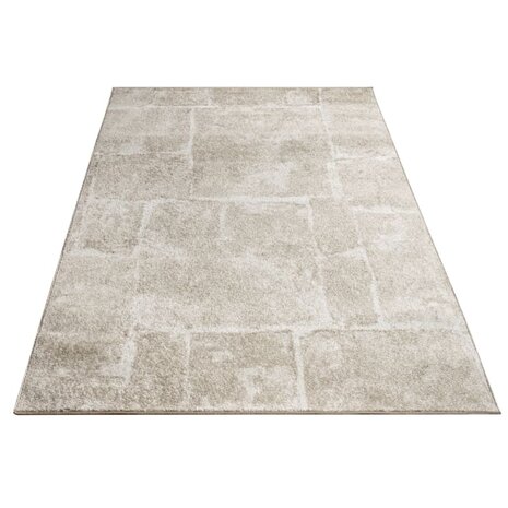 Modern vloerkleed of karpet ARIZONA  kleur bruin 050