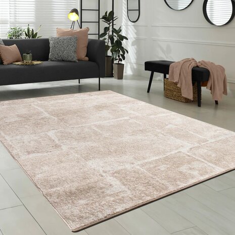 Modern vloerkleed of karpet ARIZONA  kleur bruin 050