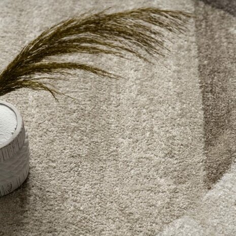 Modern vloerkleed of karpet ARIZONA  kleur bruin 059