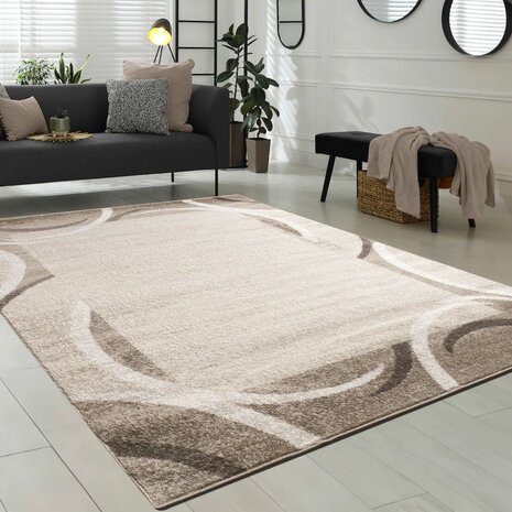Modern vloerkleed of karpet ARIZONA  kleur bruin 059