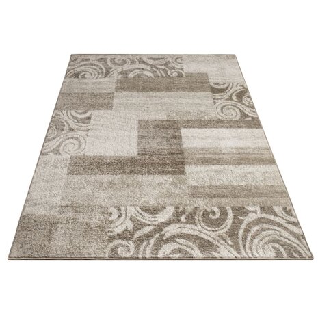 Modern vloerkleed of karpet ARIZONA  kleur bruin 053