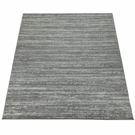 Vloerkleed of karpet LINDY kleur grijs 900