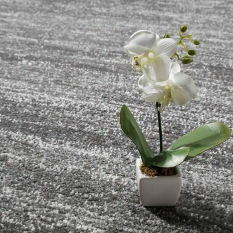 Vloerkleed of karpet LINDY kleur grijs 900