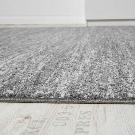 Vloerkleed of karpet LINDY kleur grijs 900