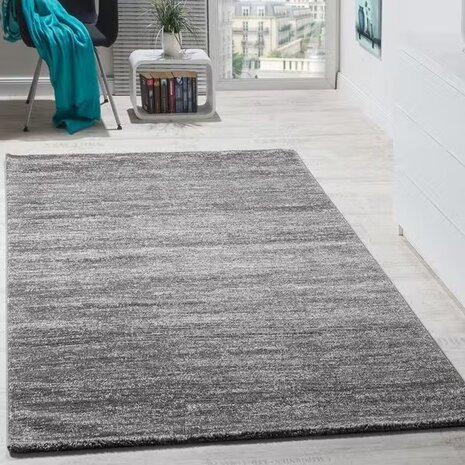 Vloerkleed of karpet LINDY kleur grijs 900