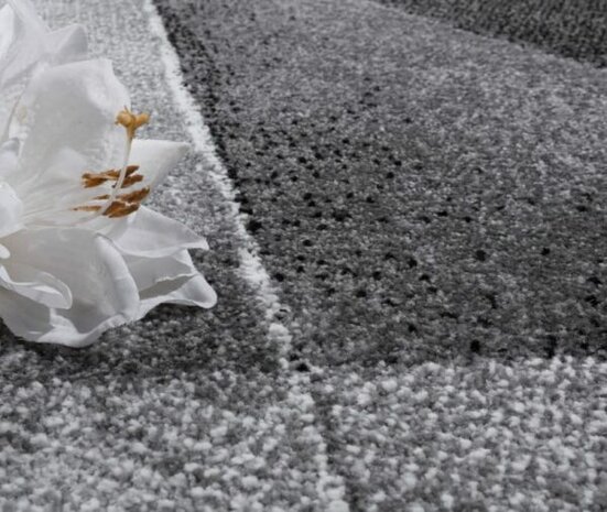 Vloerkleed of karpet LINDY kleur grijs 922
