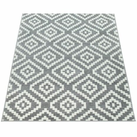 Vloerkleed of karpet PALMER kleur grijs wit 400