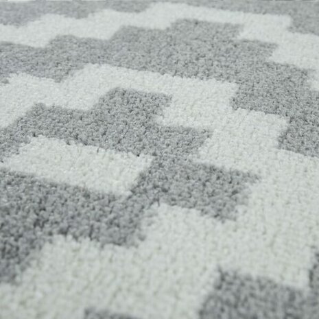 Vloerkleed of karpet PALMER kleur grijs wit 400