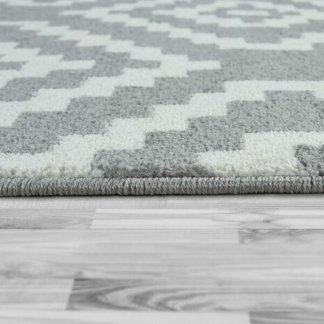 Vloerkleed of karpet PALMER kleur grijs wit 400