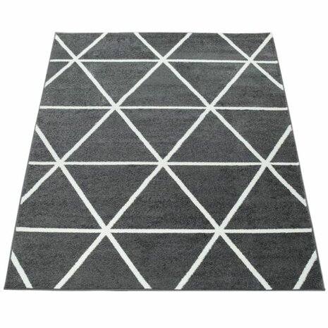 Vloerkleed of karpet PALMER kleur antraciet 401