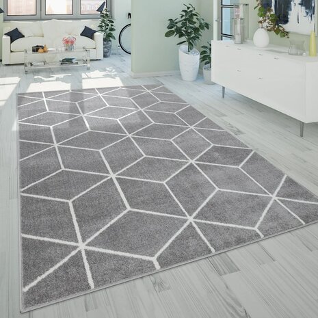 Vloerkleed of karpet PALMER kleur grijs 402