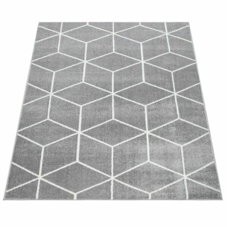 Vloerkleed of karpet PALMER kleur grijs 402