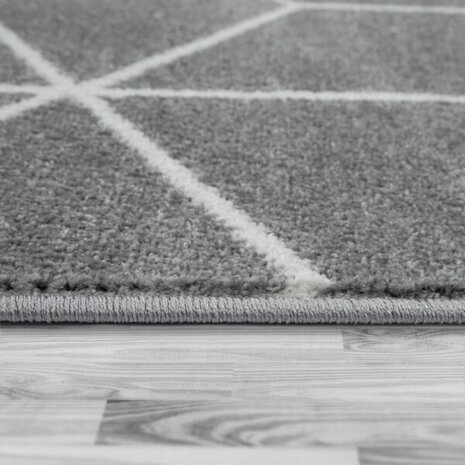 Vloerkleed of karpet PALMER kleur grijs 402