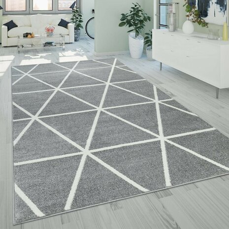 Vloerkleed of karpet PALMER kleur grijs 401