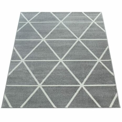 Vloerkleed of karpet PALMER kleur grijs 401