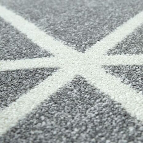 Vloerkleed of karpet PALMER kleur grijs 401