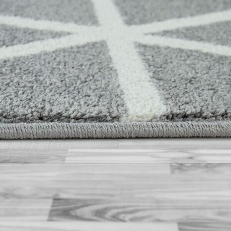 Vloerkleed of karpet PALMER kleur grijs 401